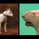 bull-terrier (Rakettfua’s conflicted copy 2012-12-19) (2)