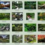 japanese-garden